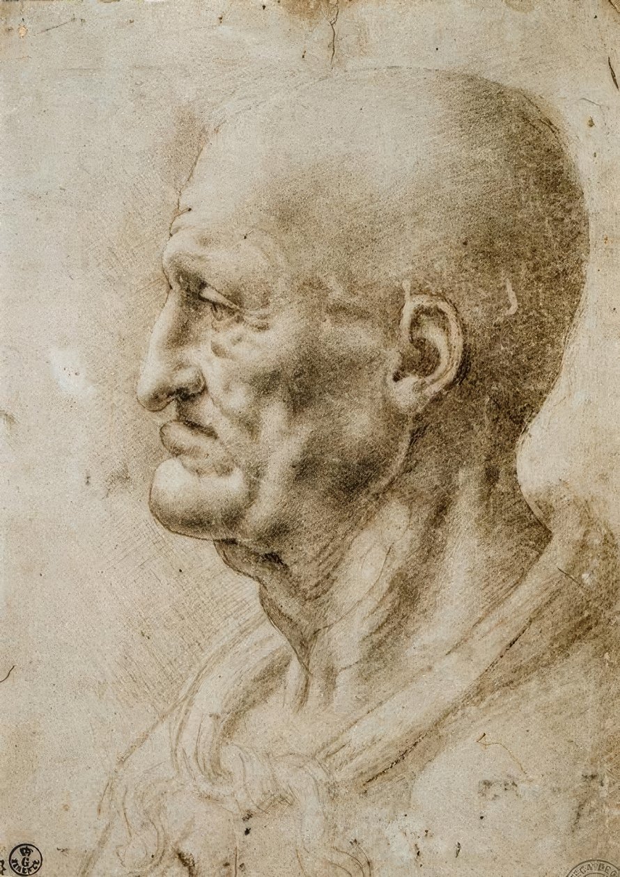Estudo principal de um homem velho de Leonardo da Vinci
