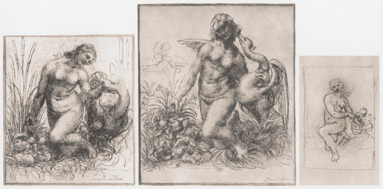 Leda e o cisne, c1504-1506 de Leonardo da Vinci