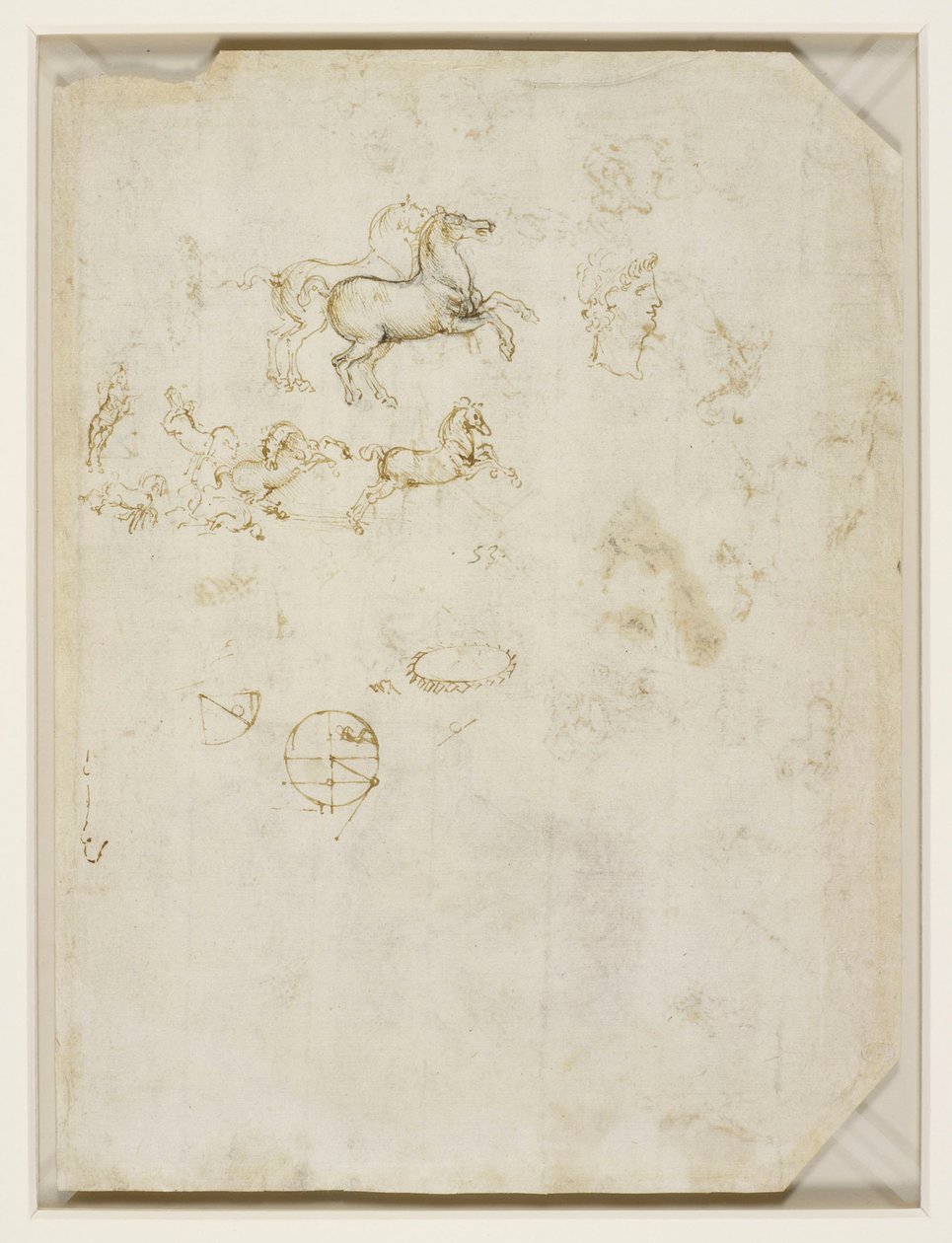 Leonardo da Vinci - Verso Cavalos empinados e a cabeça de Nero c.1503-4 de Leonardo da Vinci