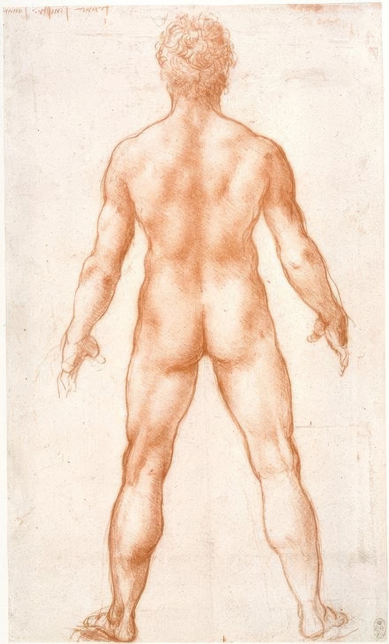 Nu masculino em vista traseira de Leonardo da Vinci