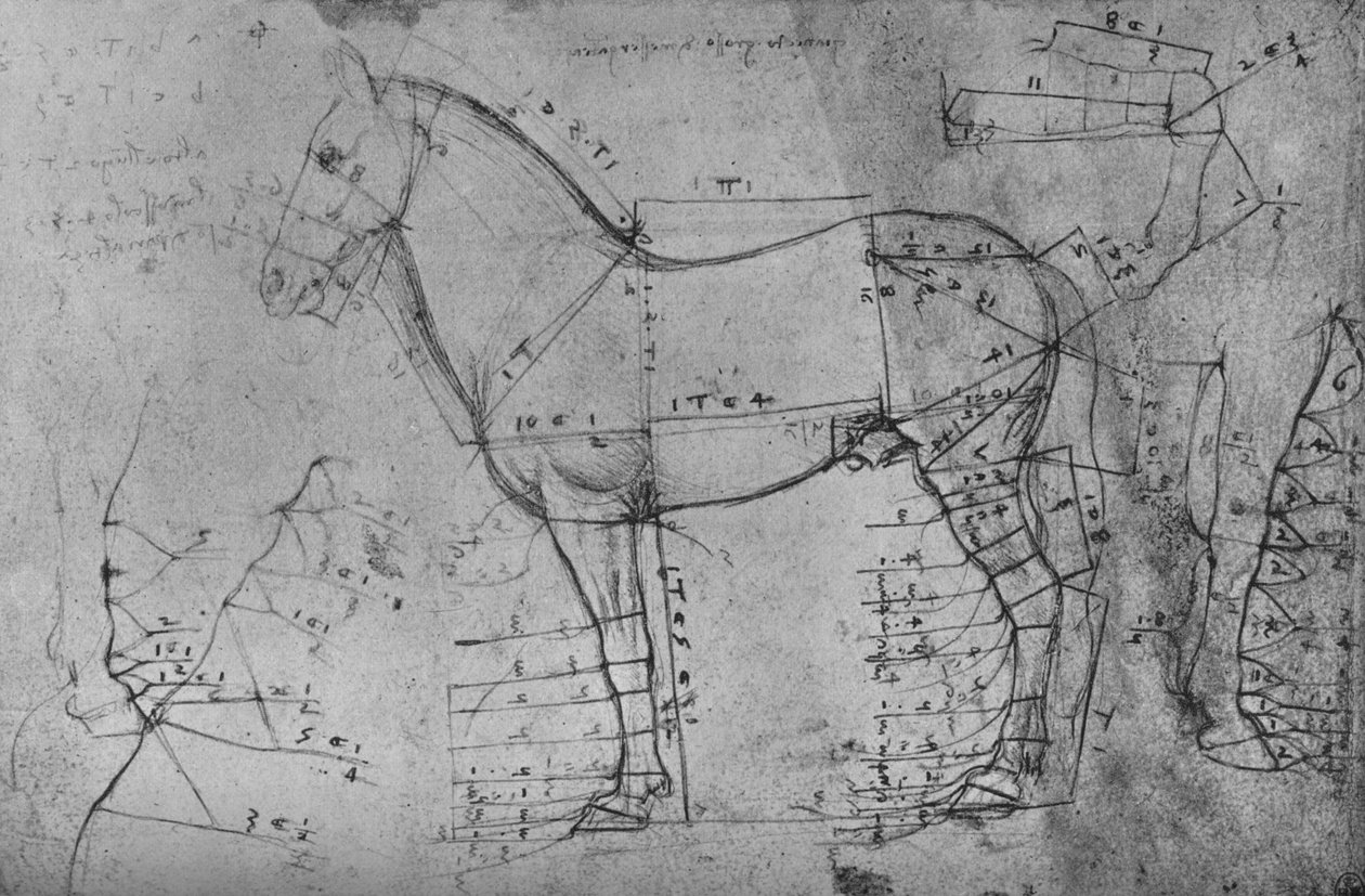 Desenho medido de um cavalo de perfil à esquerda, c1480 1945 de Leonardo da Vinci