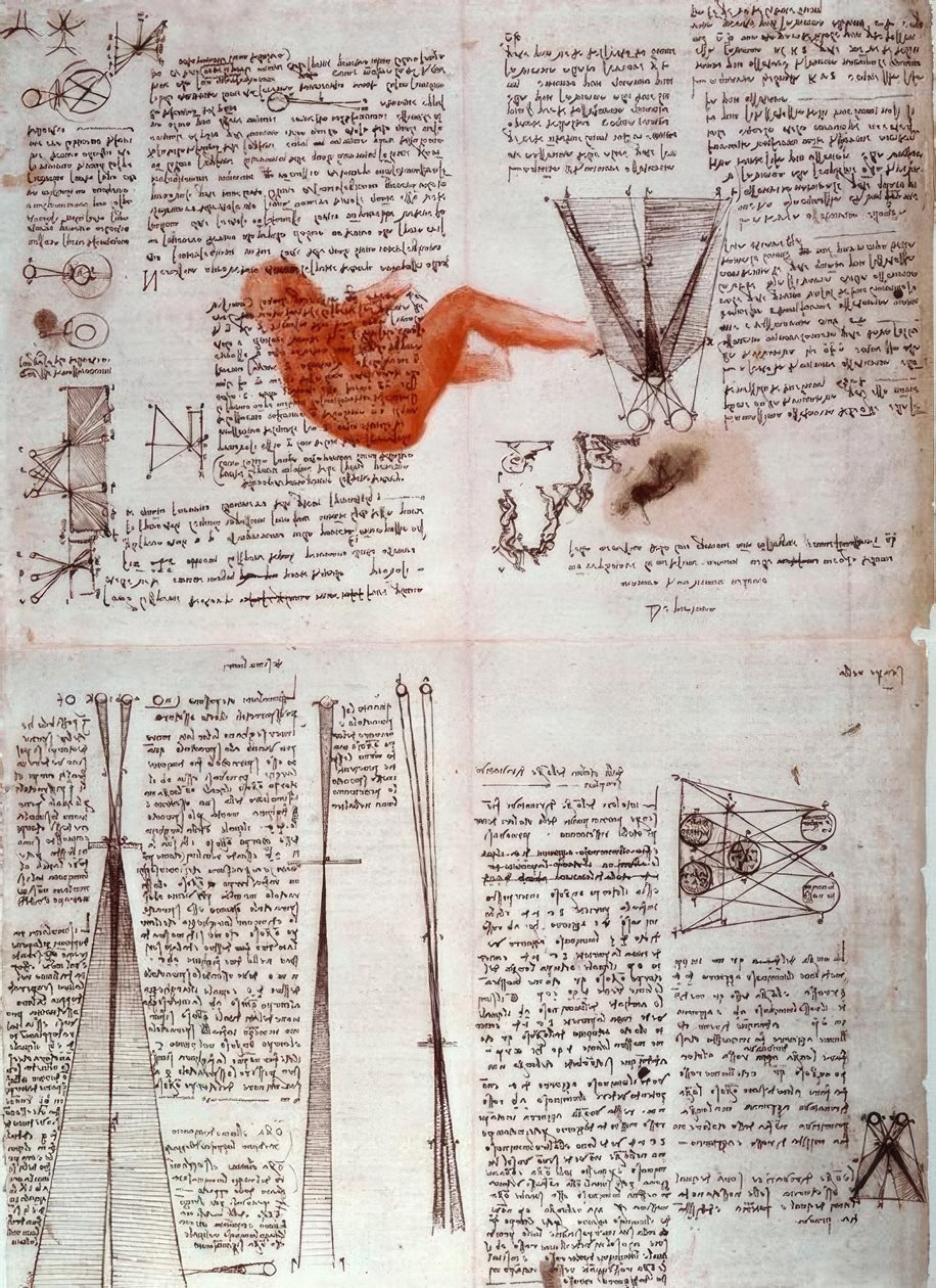 Notas sobre a fisiologia da visão ... de Leonardo da Vinci