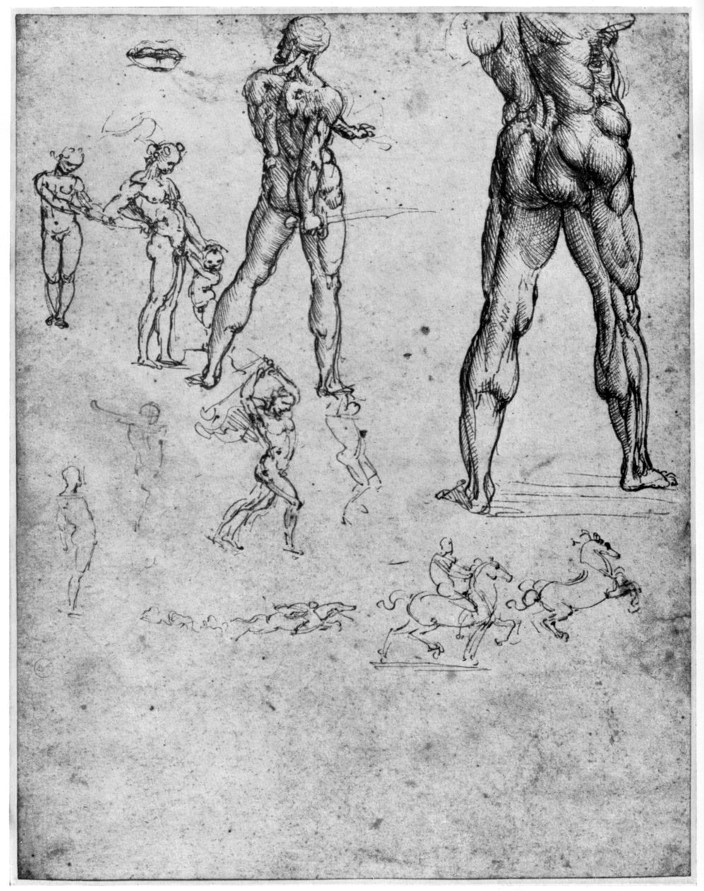 Estudos nus para A Batalha de Anghiari, c1503-1505 1954 de Leonardo da Vinci