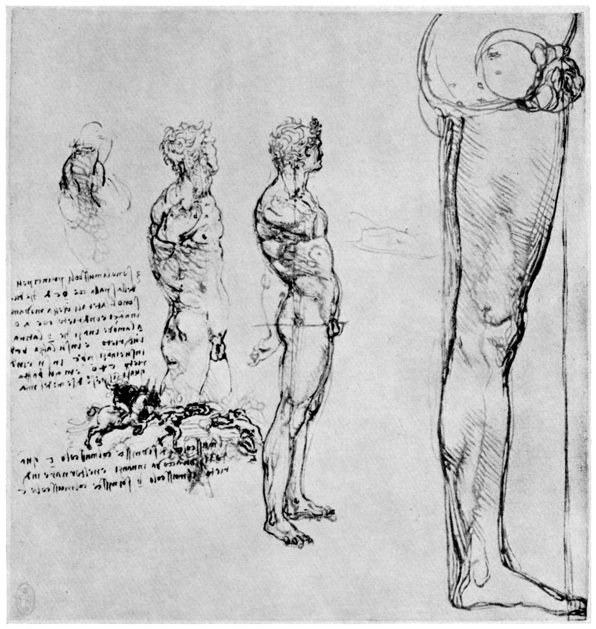Estudos nus para A Batalha de Anghiari, c1503-1505 1954 de Leonardo da Vinci