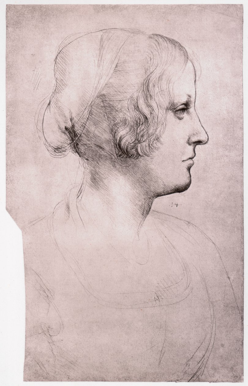 Retrato de uma menina com um boné, 1493-1495 de Leonardo da Vinci