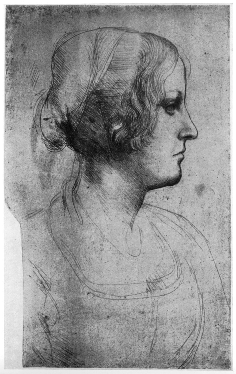 Estudo de retrato de uma cabeça de meninas jovens, século 15 de 1954. de Leonardo da Vinci