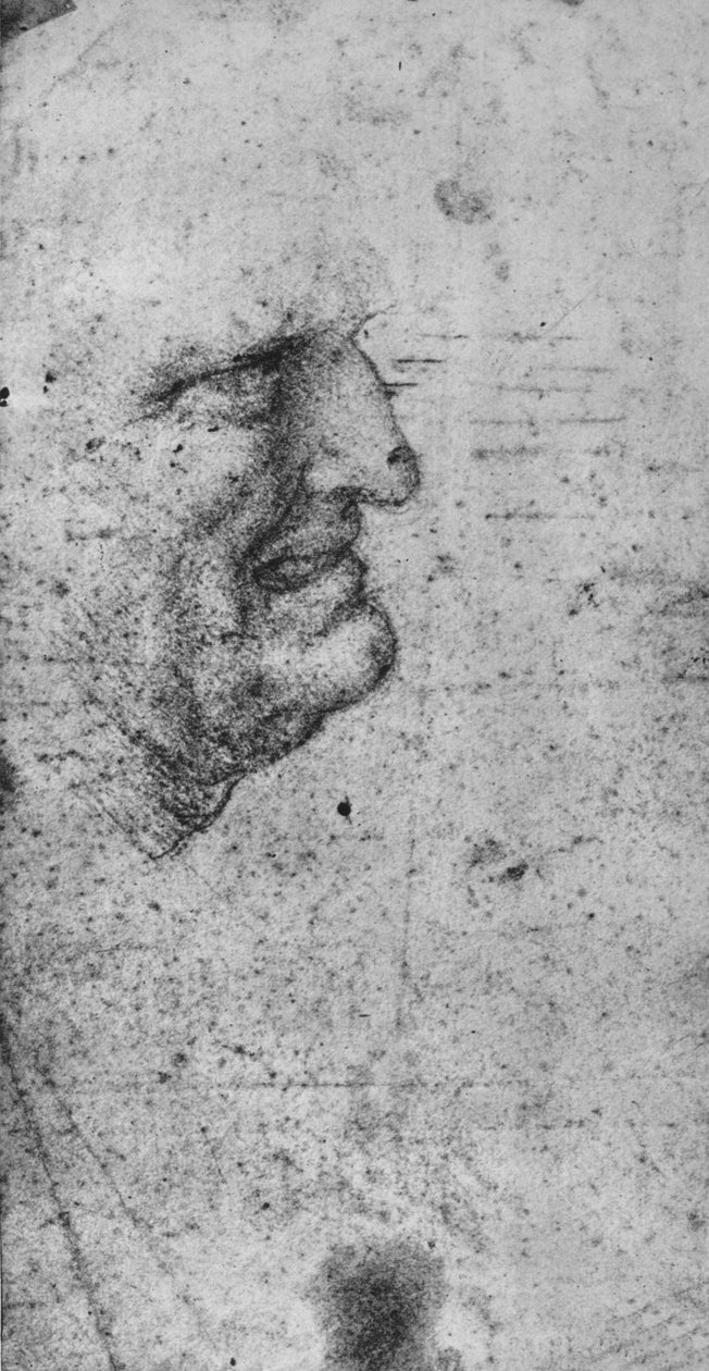 Perfil de um homem com dentes cerrados, c1480 1945 de Leonardo da Vinci