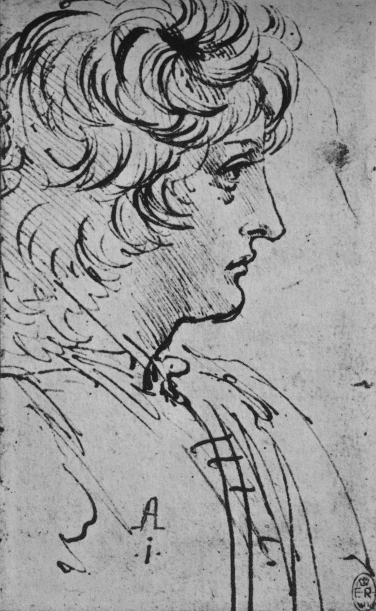 Perfil de uma Juventude à Direita, c1480 1945 de Leonardo da Vinci