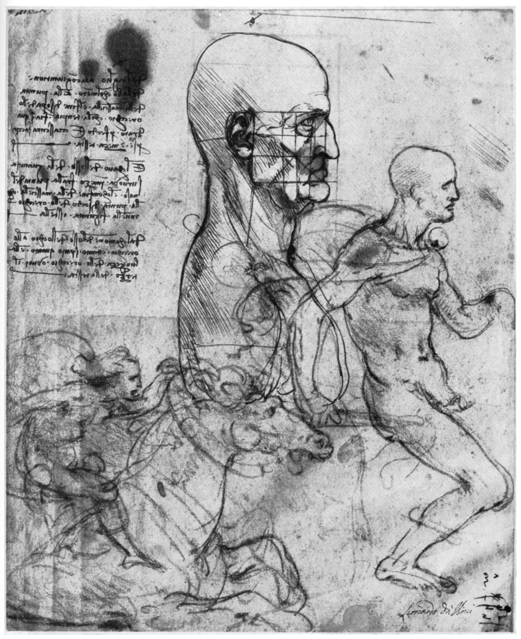 Perfil da cabeça de um homem e estudos de dois cavaleiros, c1490 e c1504 1954. de Leonardo da Vinci