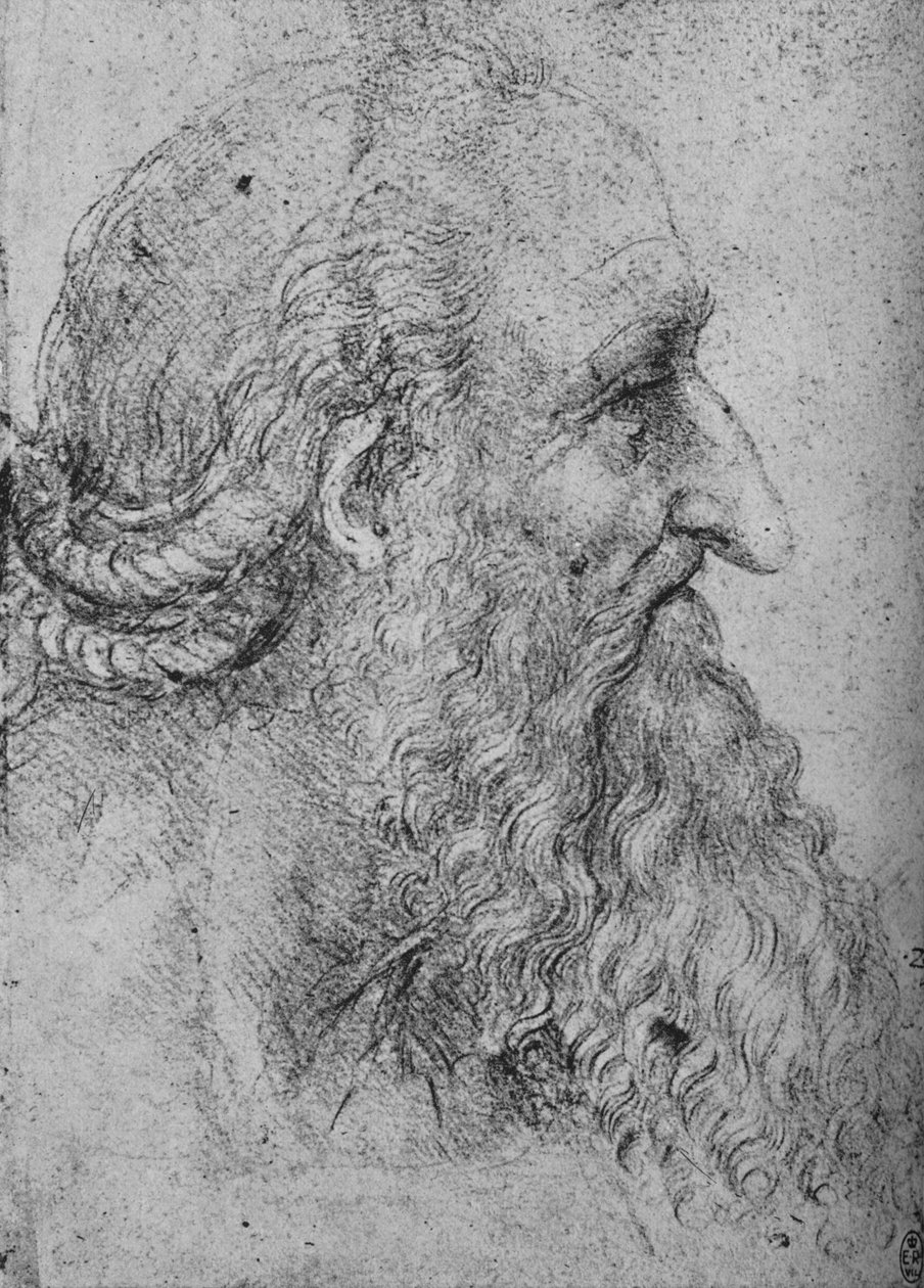 Perfil de um homem velho e barbudo à direita, c1480 1945 de Leonardo da Vinci