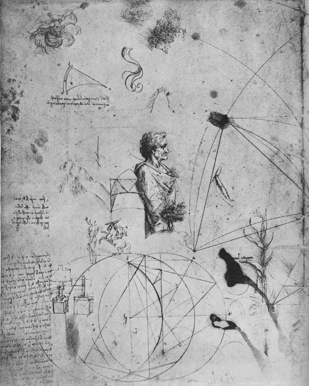 Perfil de um homem idoso, plantas, figuras geométricas, etc., c1480 1945 de Leonardo da Vinci