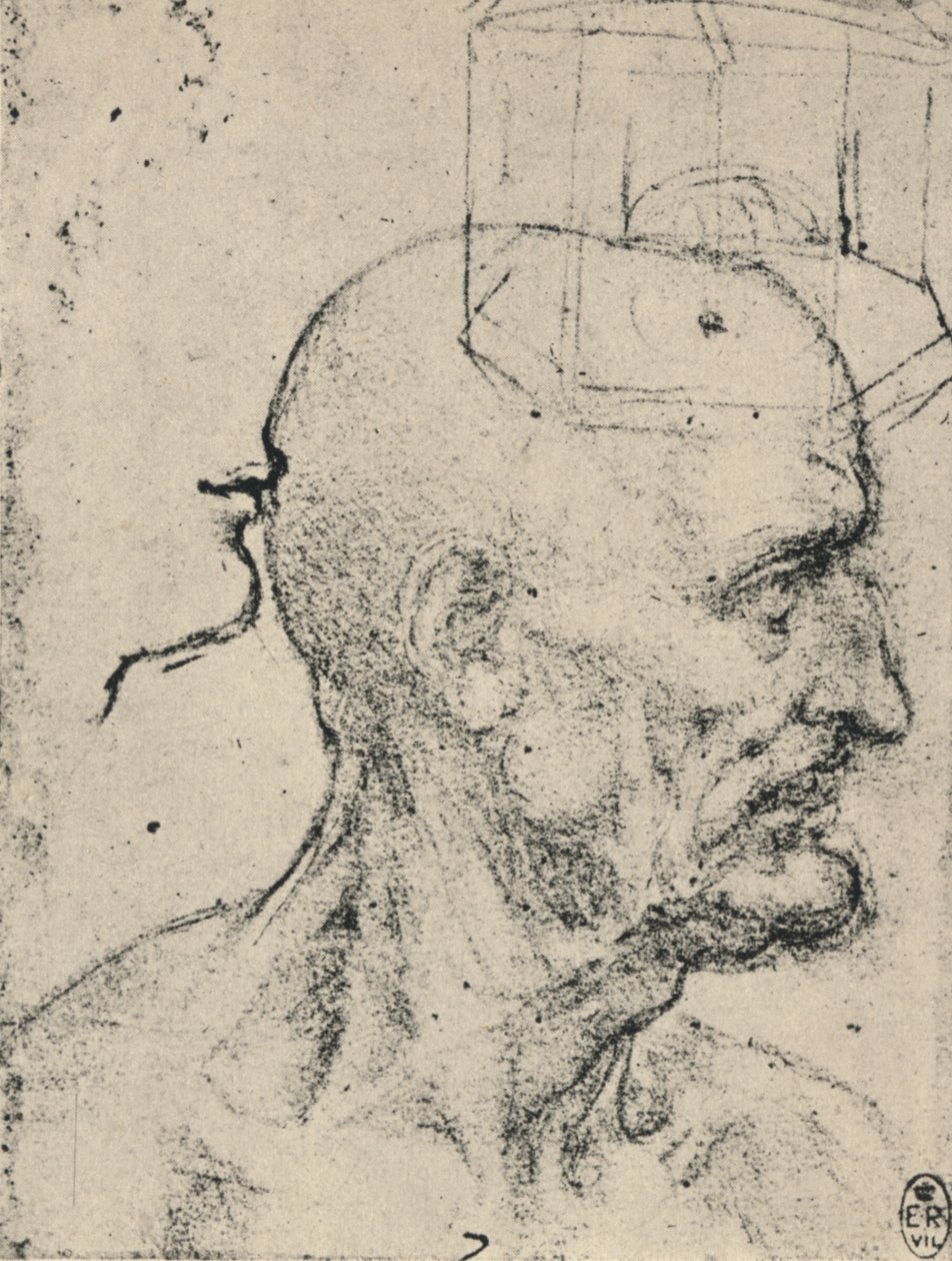 Perfil à direita de um homem calvo, c1480 1945 de Leonardo da Vinci