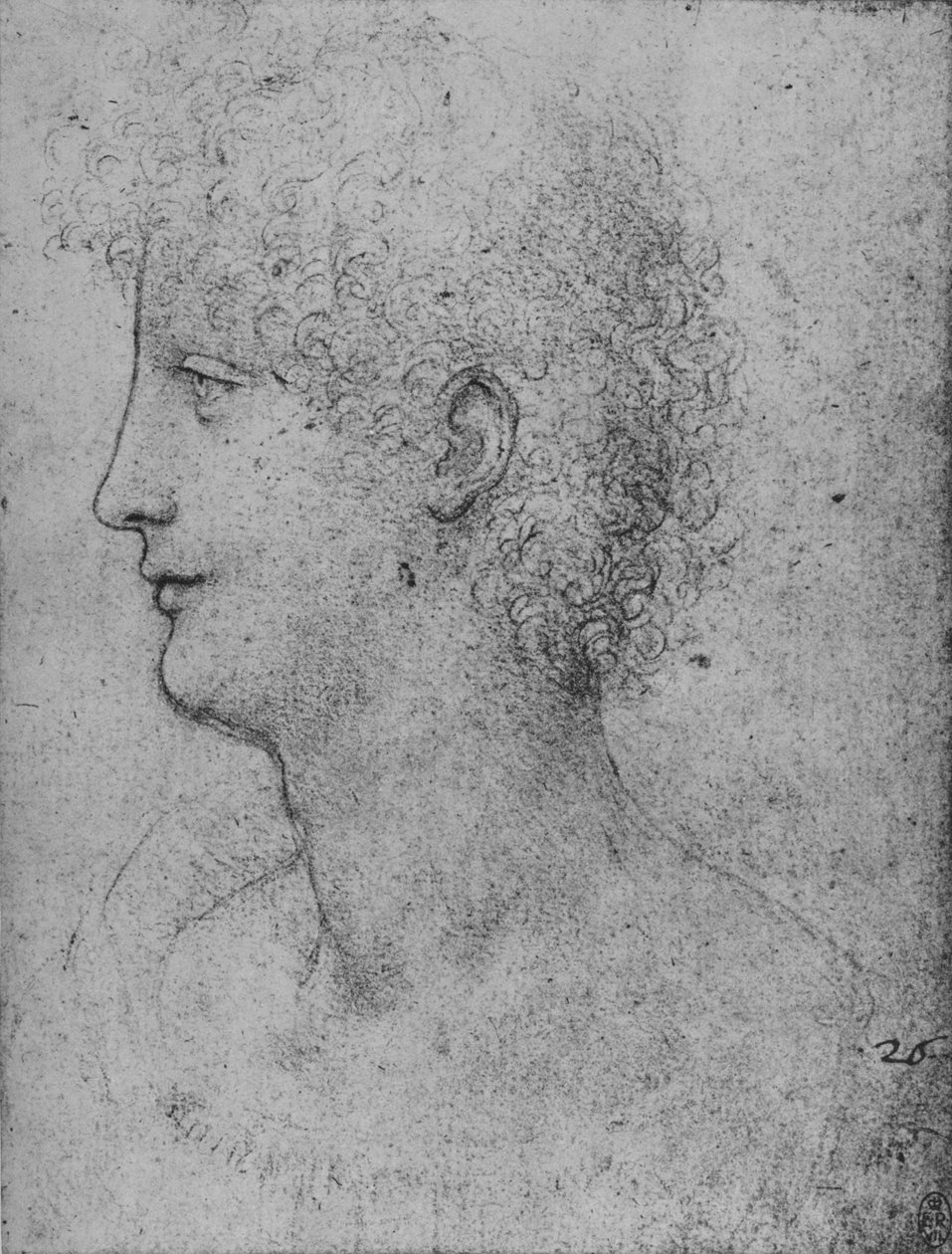 Perfil à esquerda de uma juventude de cabelos encaracolados, c1480 1945 de Leonardo da Vinci