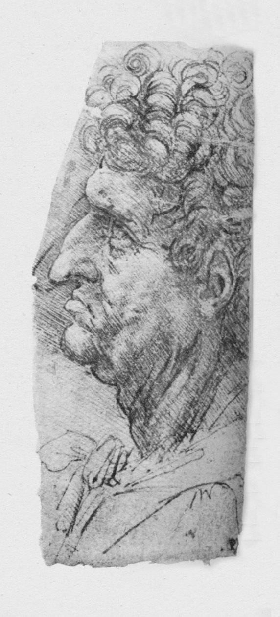 Perfil à esquerda de um homem idoso com cabelos cacheados, c1480 1945 de Leonardo da Vinci