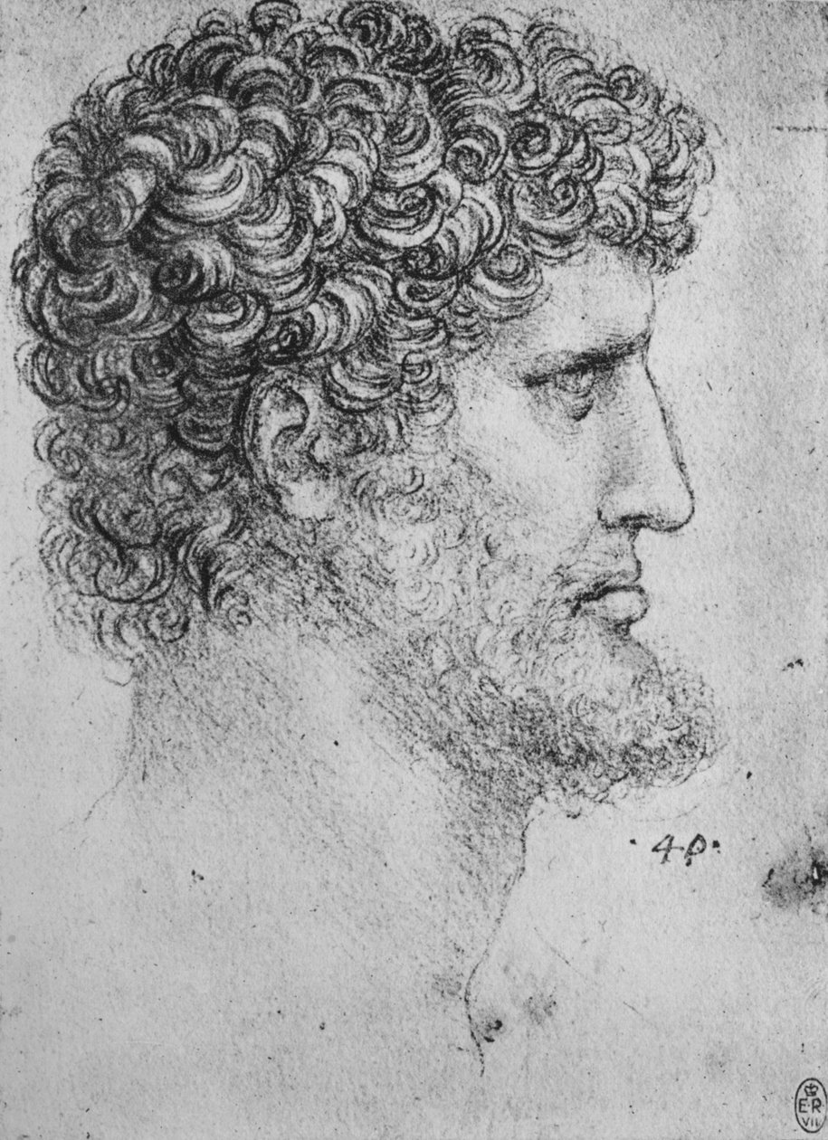 Perfil à direita de um homem barbudo, c1480 1945 de Leonardo da Vinci