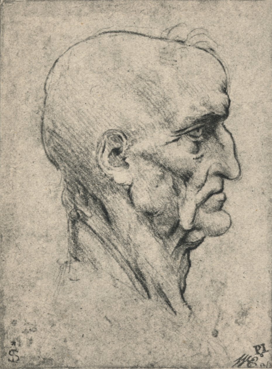 Perfil à direita de um homem careca idoso, c1480 1945 de Leonardo da Vinci