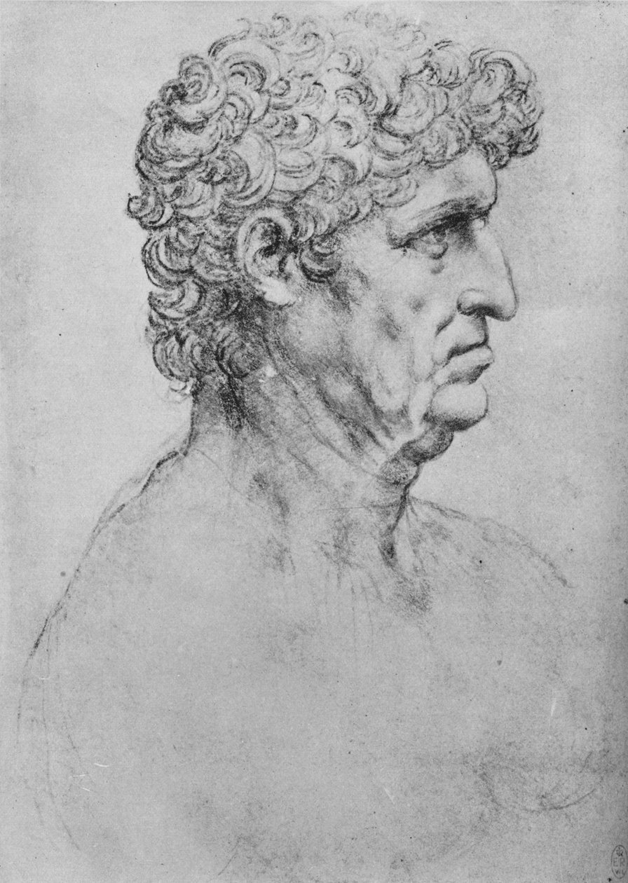 Perfil à direita de um homem idoso, c1480 1945 de Leonardo da Vinci