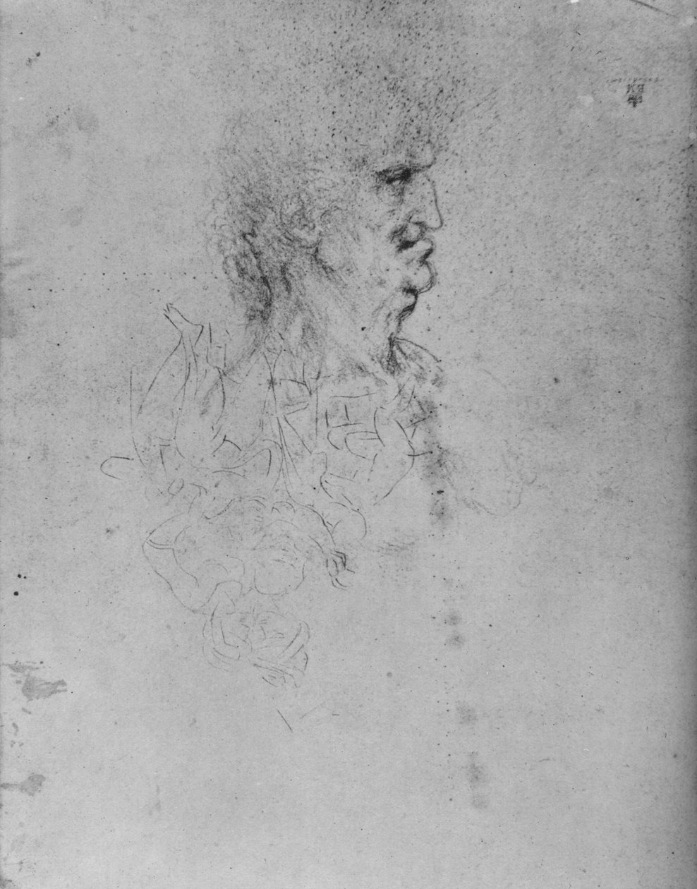 Perfil à direita de um homem idoso, c1480 1945 de Leonardo da Vinci