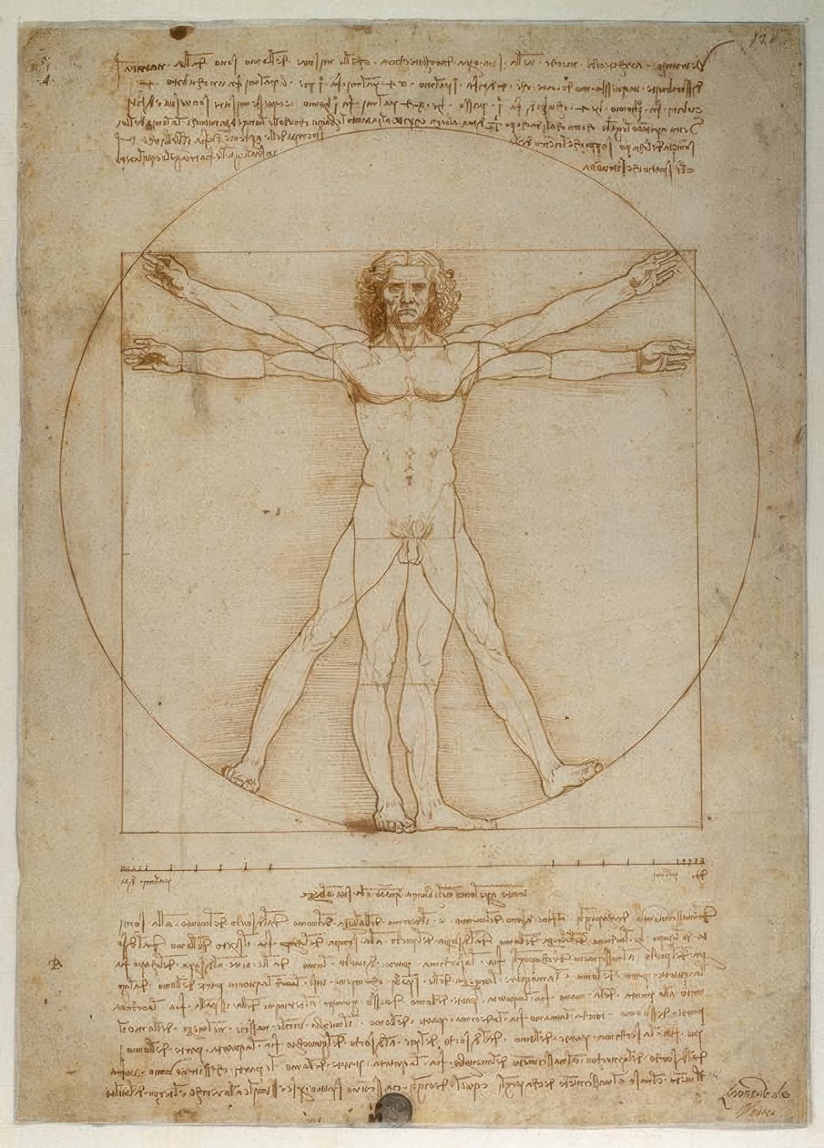 Esquema de proporções da forma humana de acordo com Vitruvius de Leonardo da Vinci