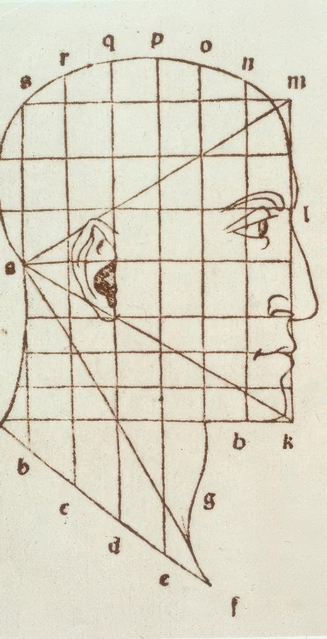 Estudo de proporção da cabeça humana de Leonardo da Vinci