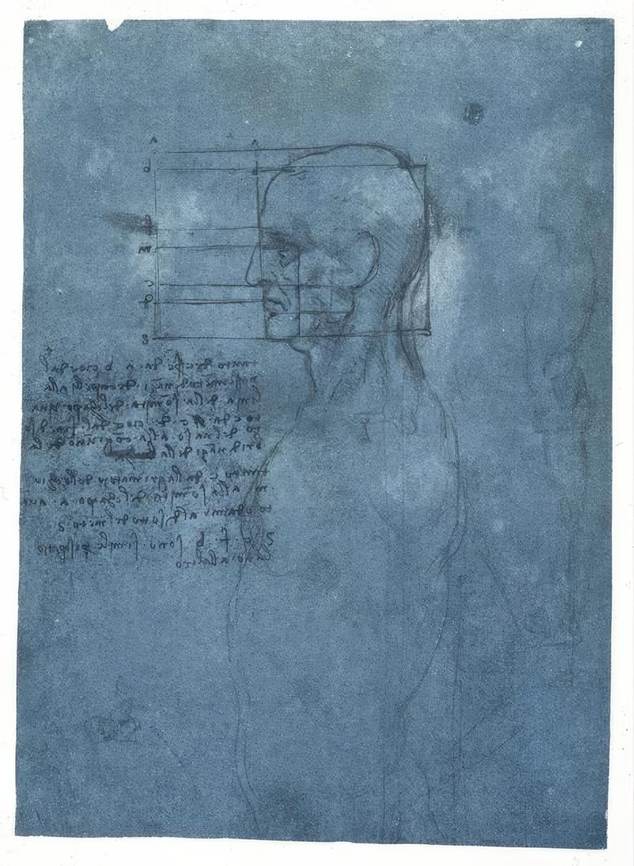 Estudo de proporção de uma cabeça masculina no perfil de Leonardo da Vinci