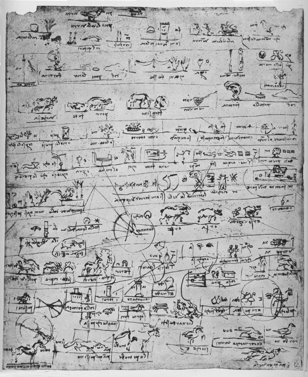 Folha de pictogramas, c1480 1945 de Leonardo da Vinci