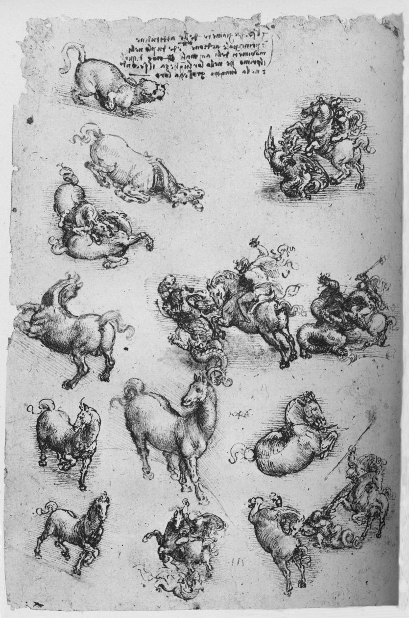 Folha de estudos de cavalos, um gato e de São Jorge e o dragão, c1480 1945 de Leonardo da Vinci