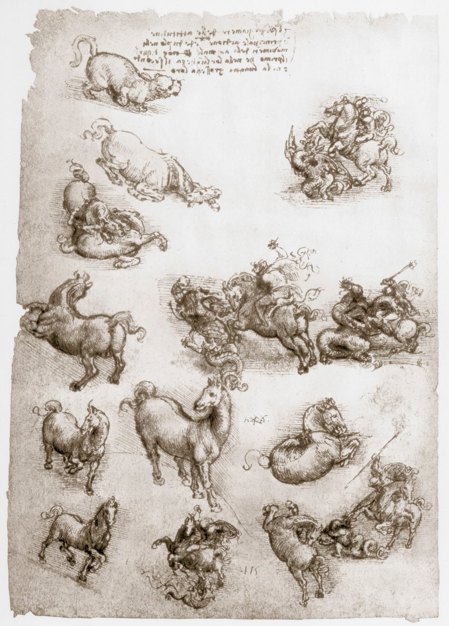 São Jorge e o Dragão, c1506 de Leonardo da Vinci