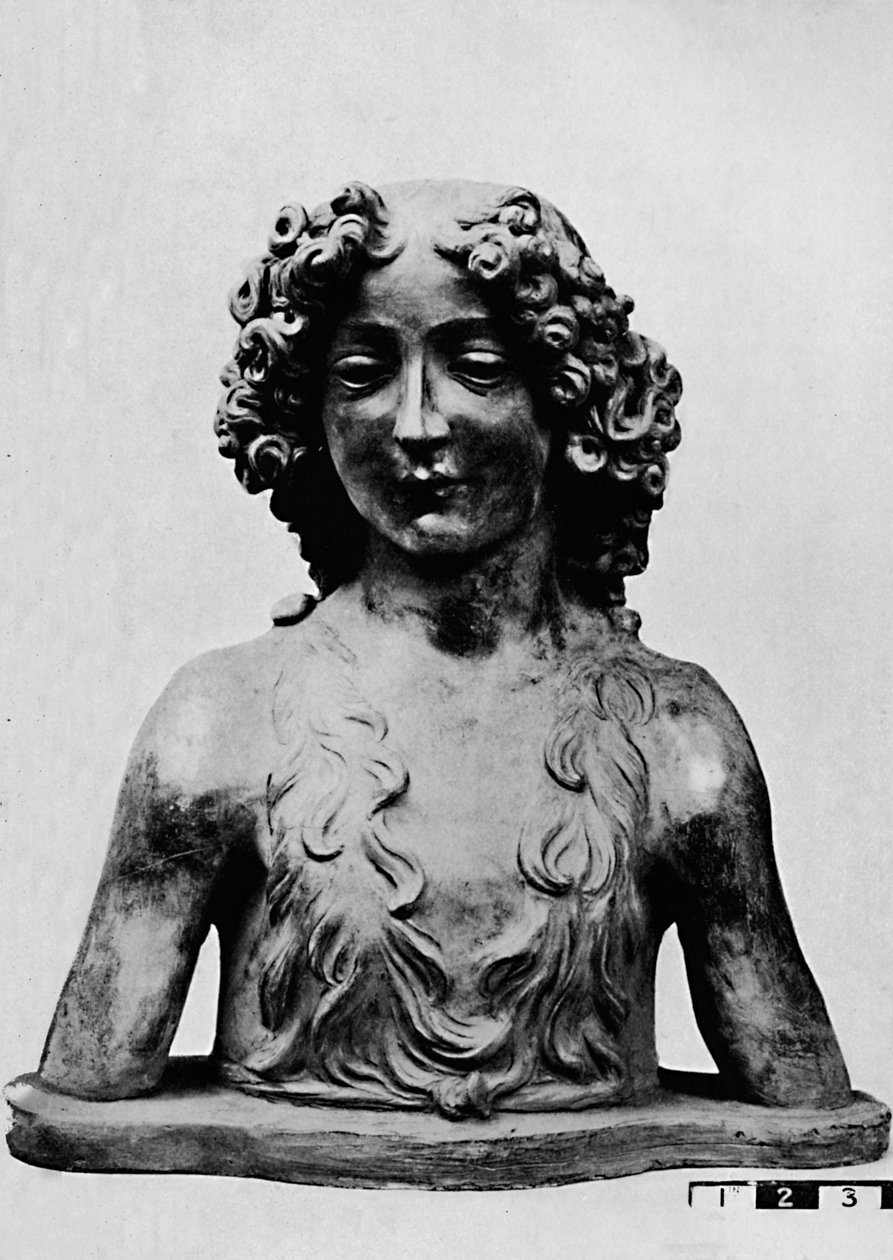 São João Batista na juventude, 1928 de Leonardo da Vinci