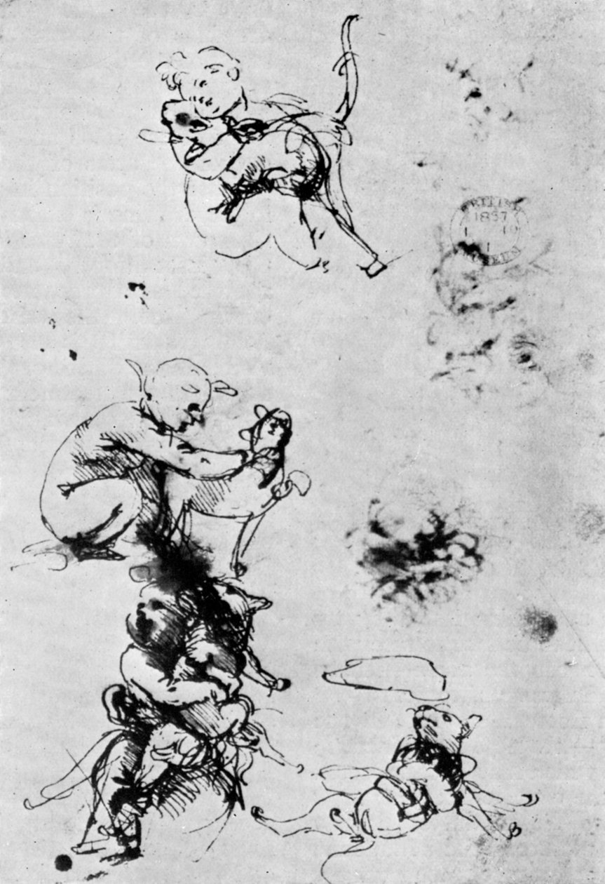 Estudos para Madonna Del Gatto, século XV, 1930. de Leonardo da Vinci