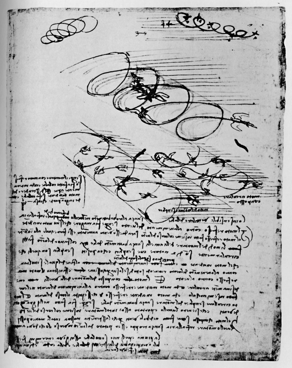 Estudos de aves em voo ao subir e circular, 1928 de Leonardo da Vinci