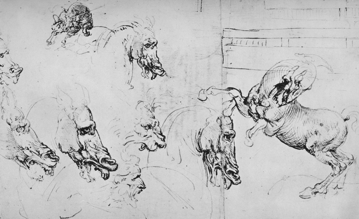 Estudos de cabeças de cavalos e de um cavalo de criação, c1480 1945 de Leonardo da Vinci