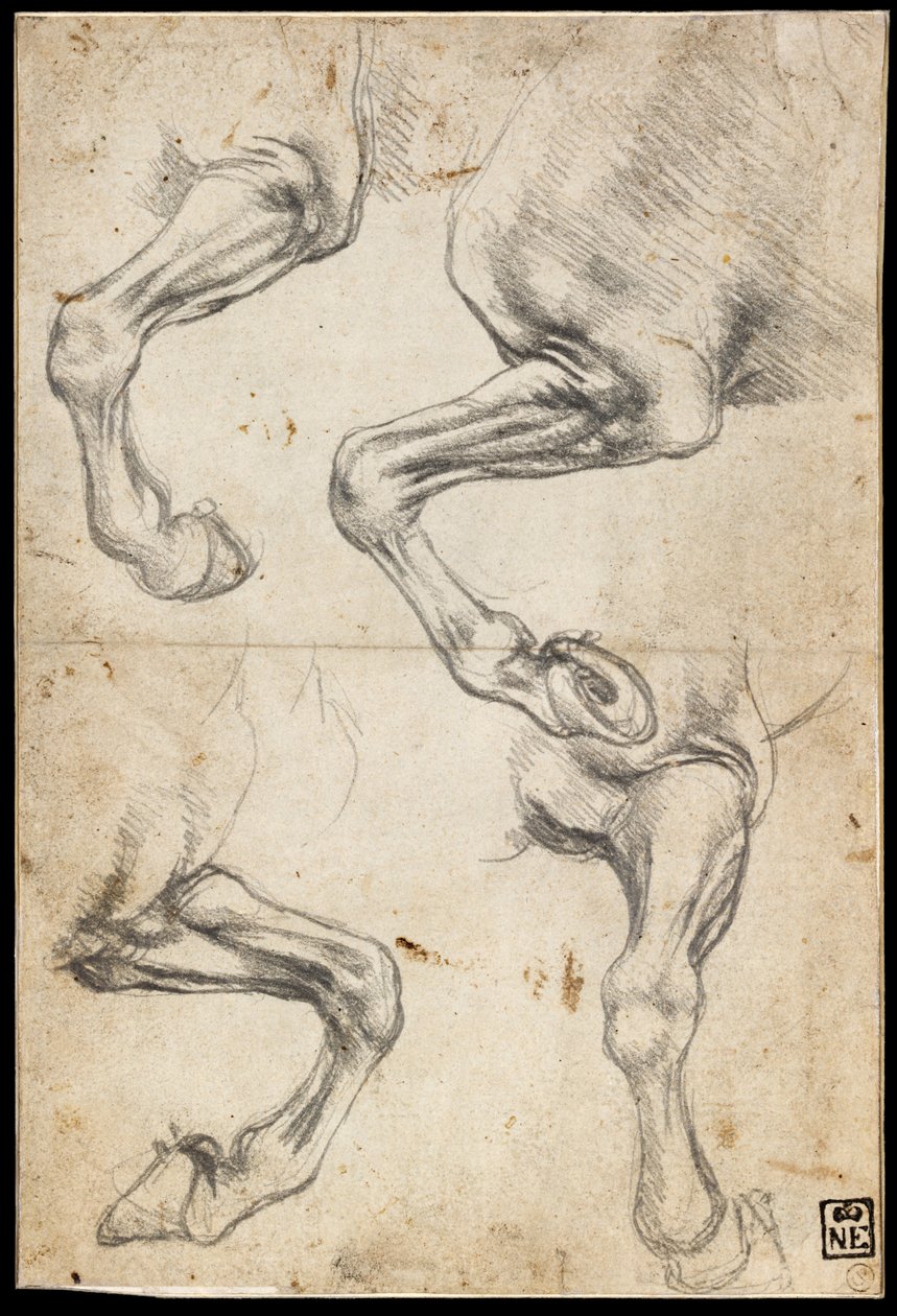 Estudos de Perna de Cavalos de Leonardo da Vinci