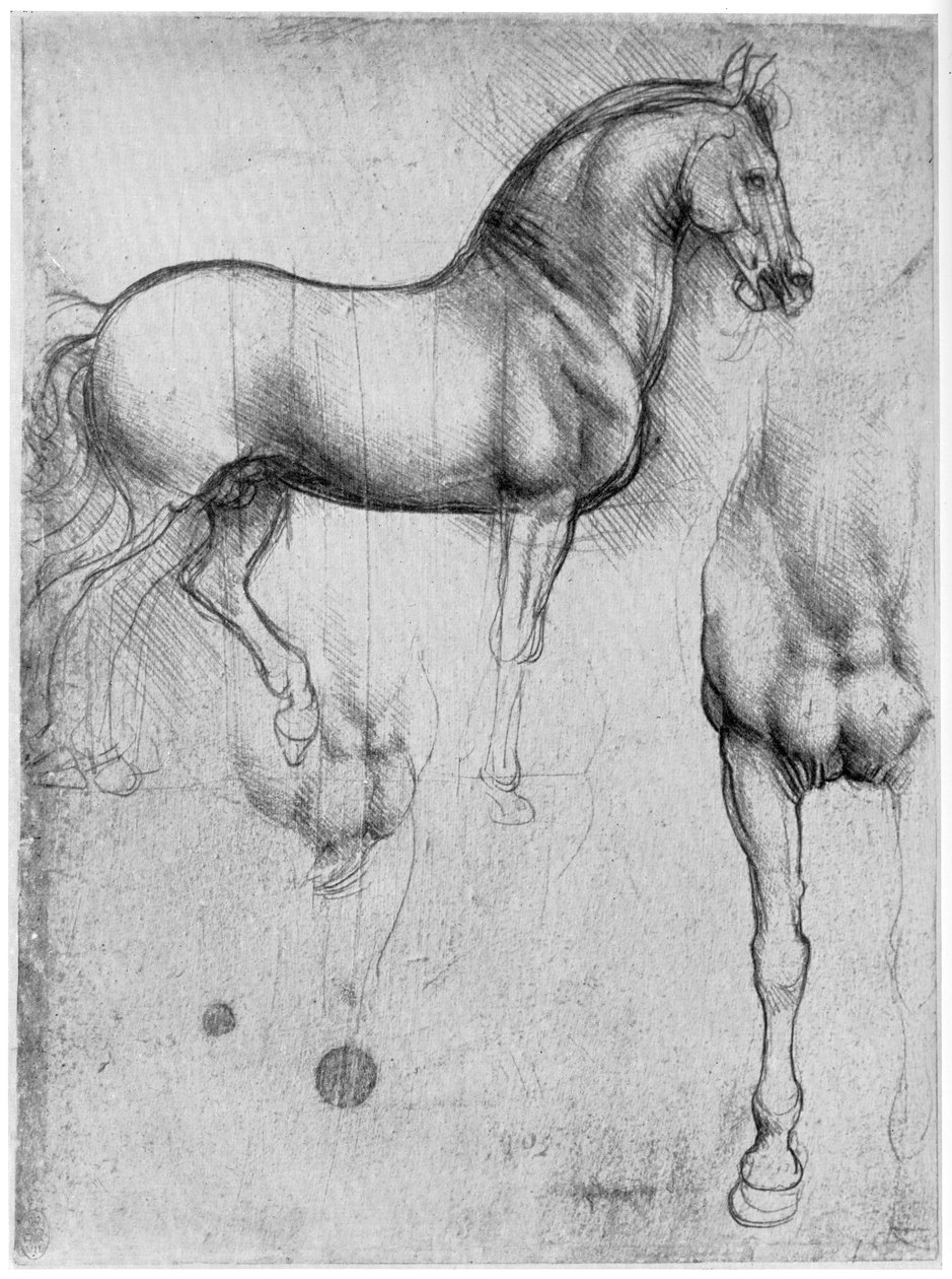 Estudos de Cavalos, c1490 1954 de Leonardo da Vinci