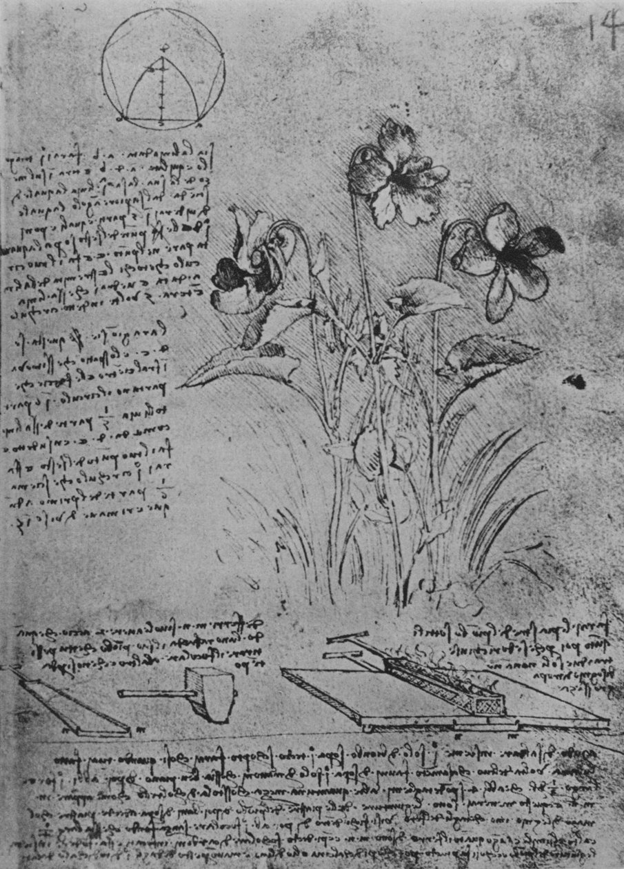 Estudos de violas e métodos de solda de telhados de chumbo, c1480 1945 de Leonardo da Vinci