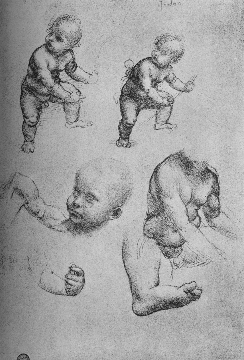 Estudos de uma criança e partes de uma criança, c1480 1945 de Leonardo da Vinci