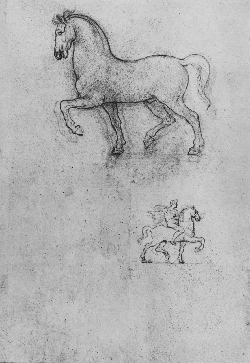 Estudos de um cavalo e um de um cavalo e cavaleiro, c1480 1945 de Leonardo da Vinci