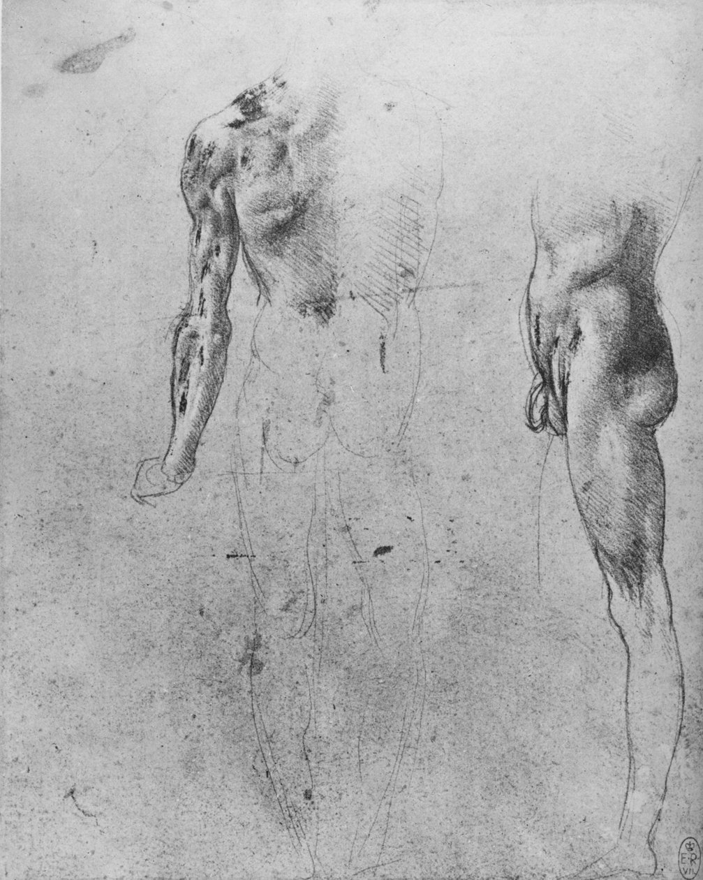 Estudos de um homem nu visto de trás e de lado, c1480 1945 de Leonardo da Vinci