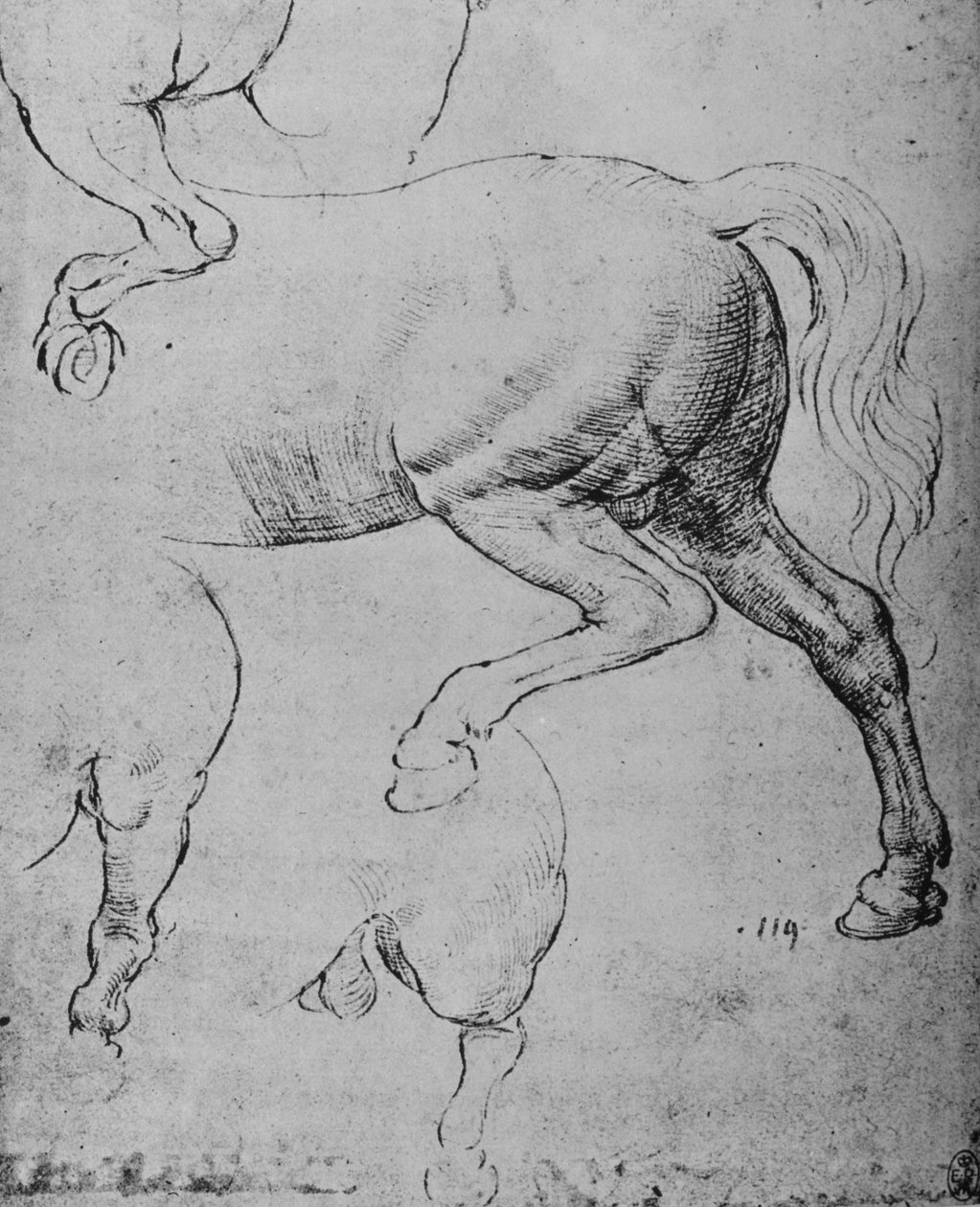 Estudos dos quartos traseiros e das patas traseiras de um cavalo, c1480 1945 de Leonardo da Vinci