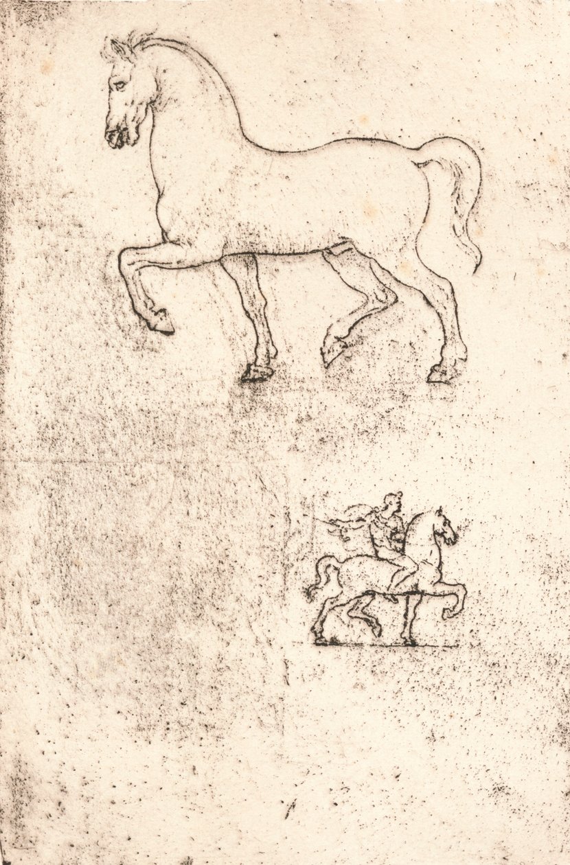Estudo para o monumento de Sforza, c1482-c1499 1883 de Leonardo da Vinci