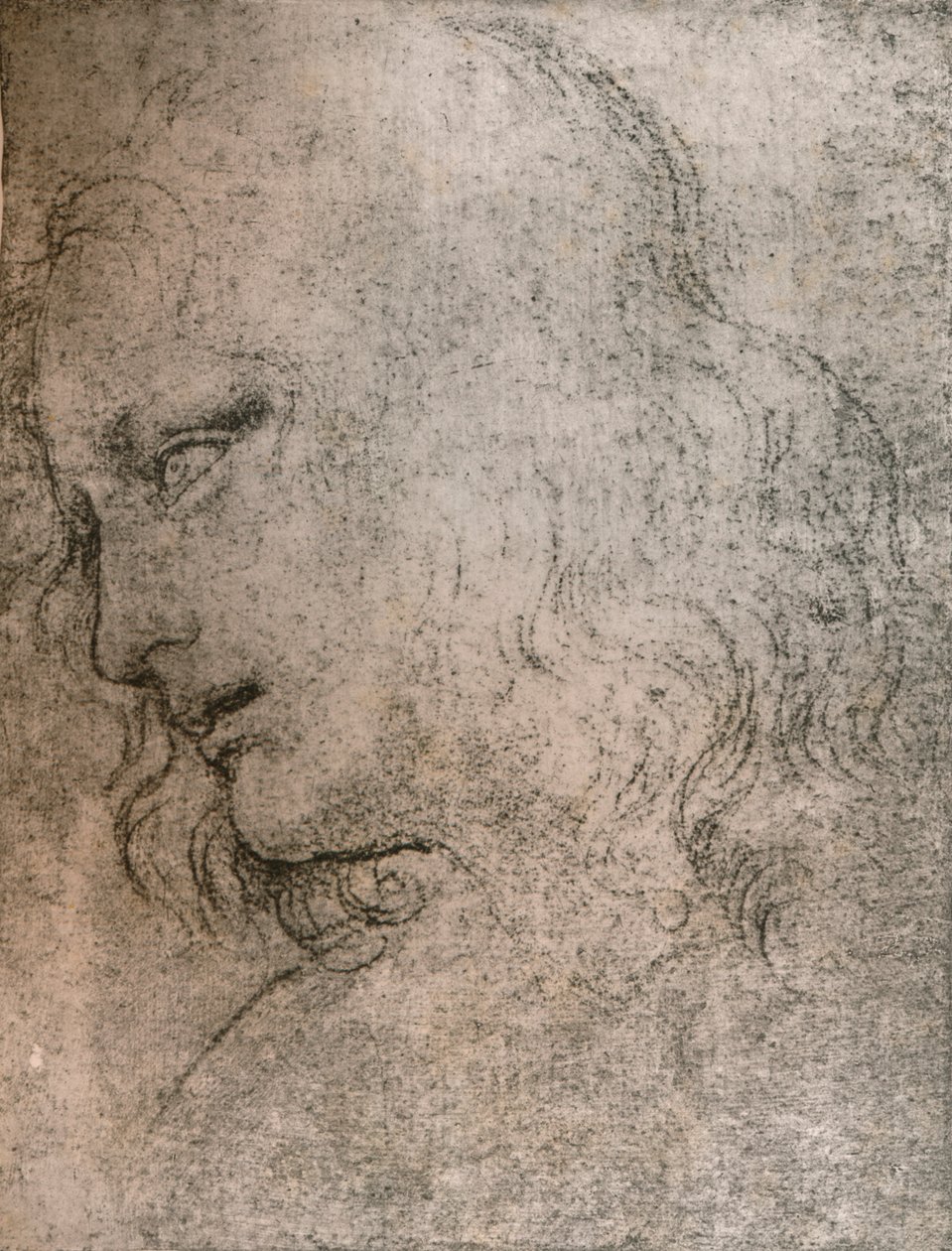 Estude para o chefe de São Filipe em "A Última Ceia", c1494-c1499 1883. de Leonardo da Vinci