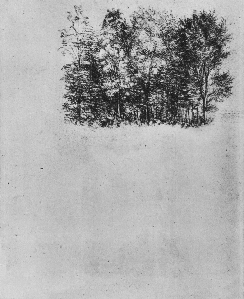 Estudo de um Coppice, c1480 1945 de Leonardo da Vinci