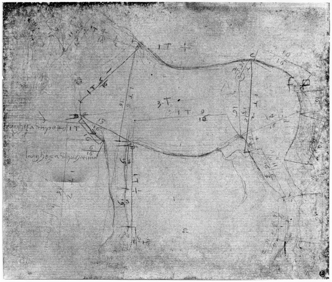 Estudo de um cavalo (ponto de metal no papel) de Leonardo da Vinci