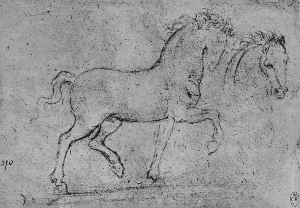 Estudo de um cavalo e de uma cabeça de cavalo, c1480 1945 de Leonardo da Vinci