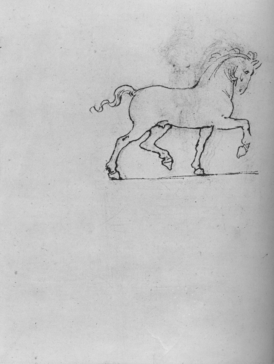 Estudo de um cavalo, c1480 1945 de Leonardo da Vinci