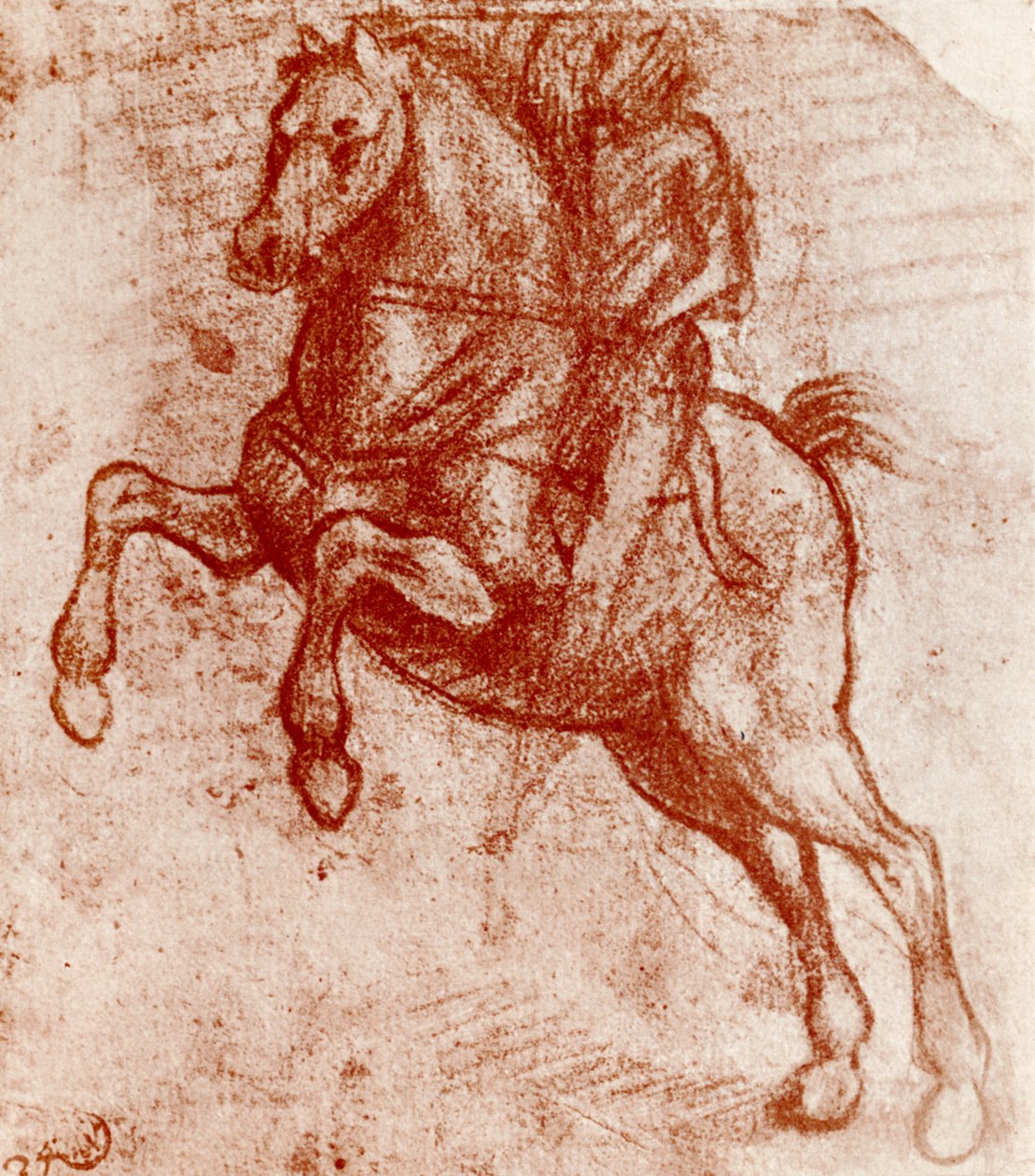 Estudo de um cavaleiro, de Leonardo De Vinci, 1913 de Leonardo da Vinci
