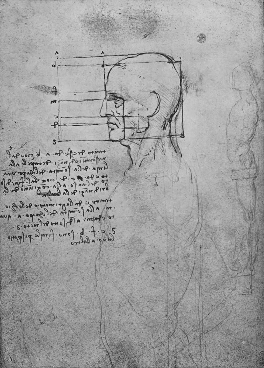 Estudo de um tronco nu masculino, a cabeça ao quadrado para proporção, c1480 1945 de Leonardo da Vinci