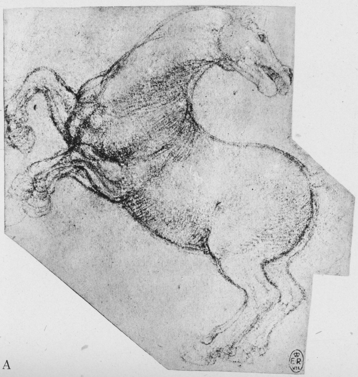 Estudo de um cavalo de criação, c1480 1945 de Leonardo da Vinci