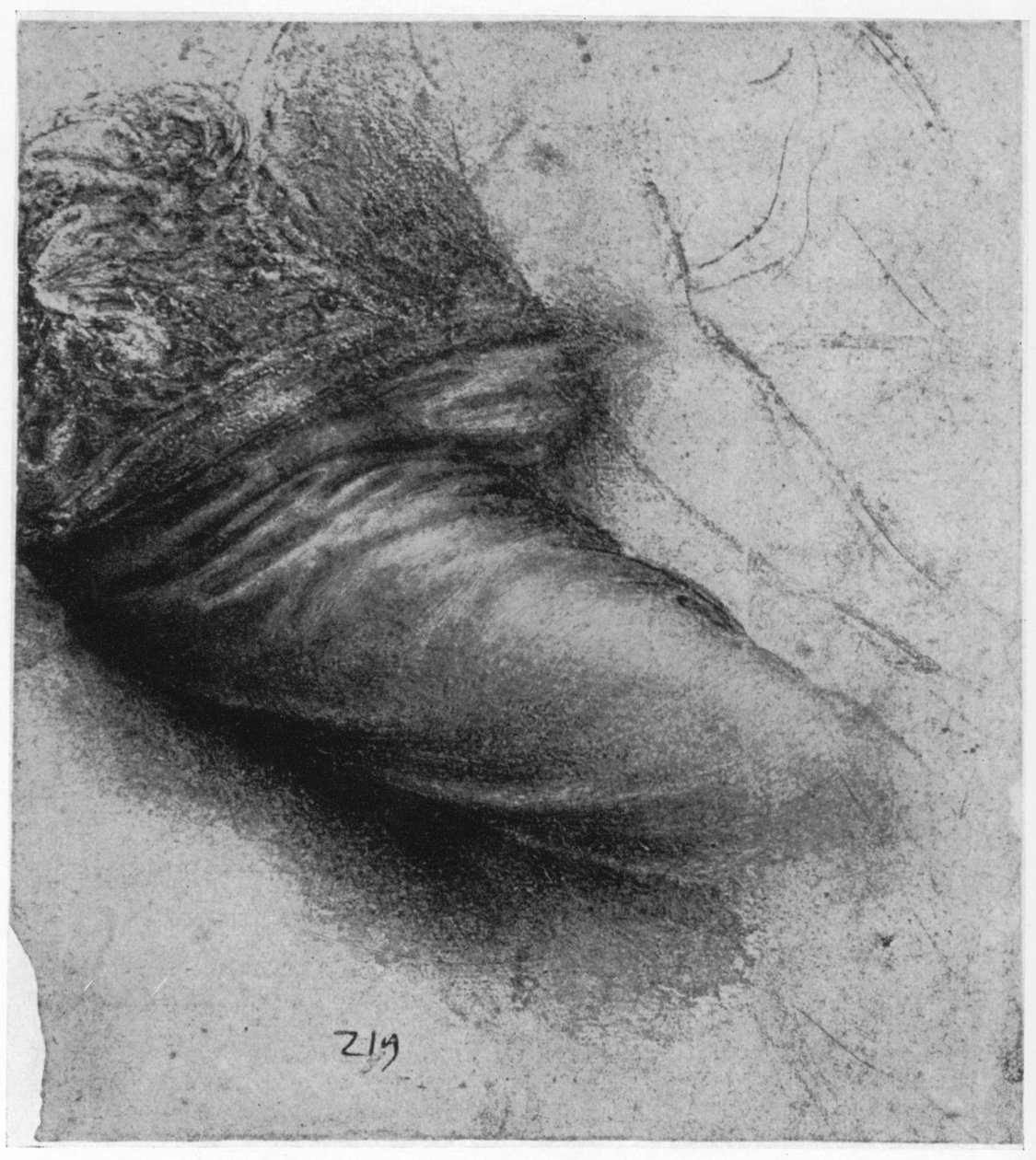 Estudo de uma peça de vestuário para Santa Ana, 1503-1517 1954 de Leonardo da Vinci