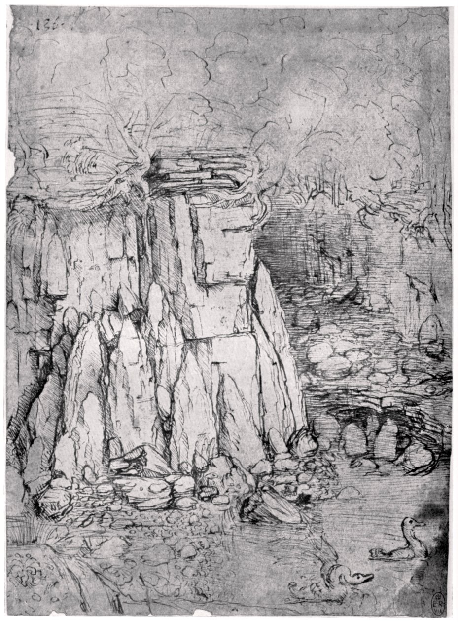 Estudo de uma caverna rochosa com patos, 1482-1485 1954 de Leonardo da Vinci